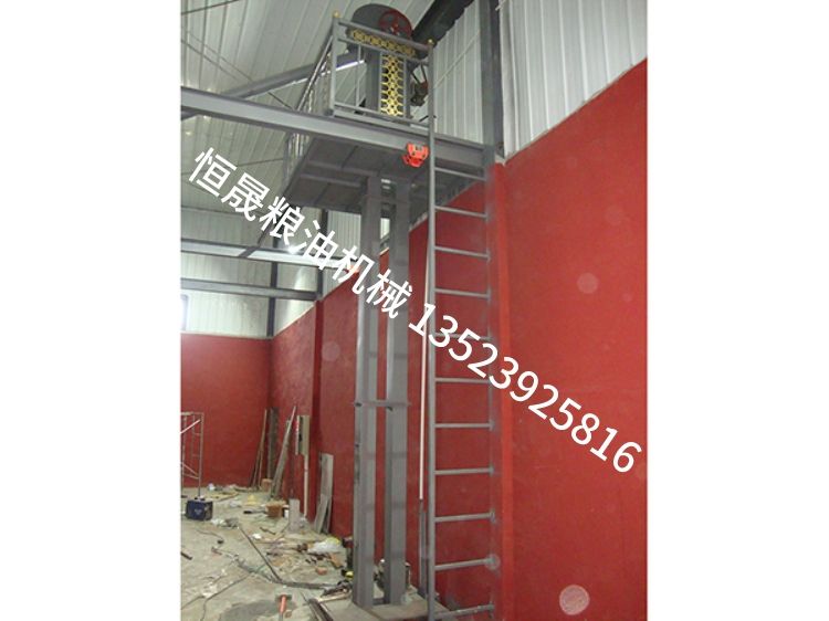 皮帶（鏈條）斗式提升機(jī)